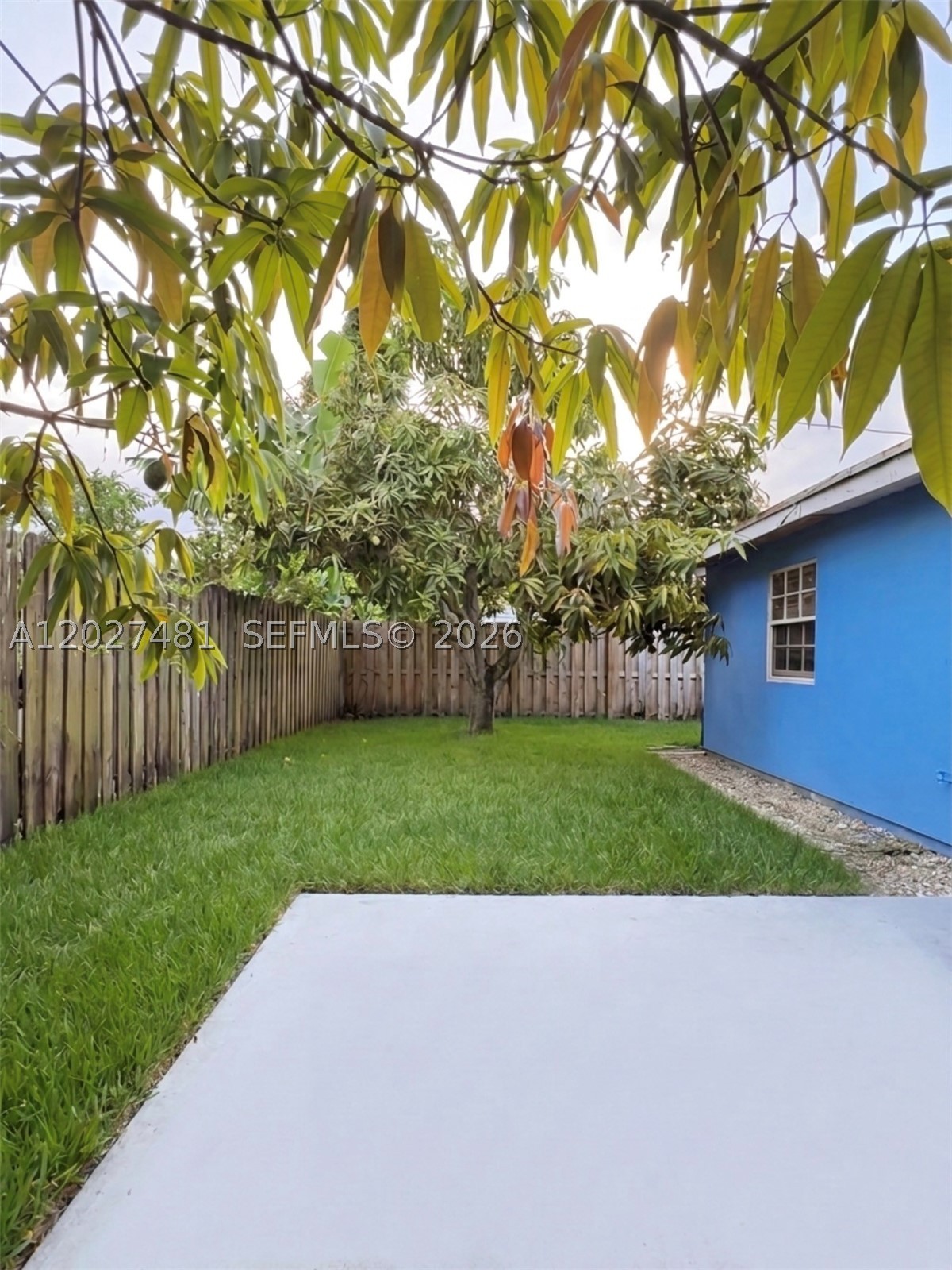 Miami photo 4