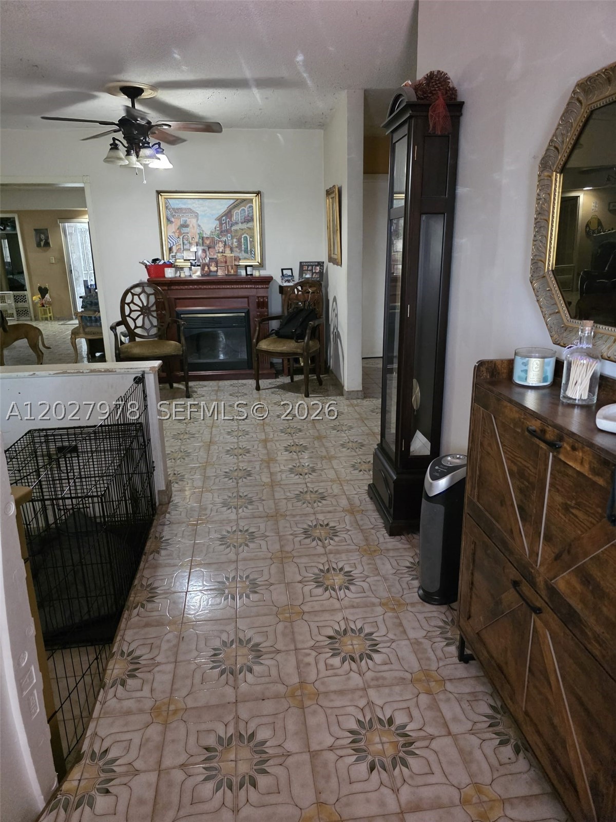 Hialeah photo 4