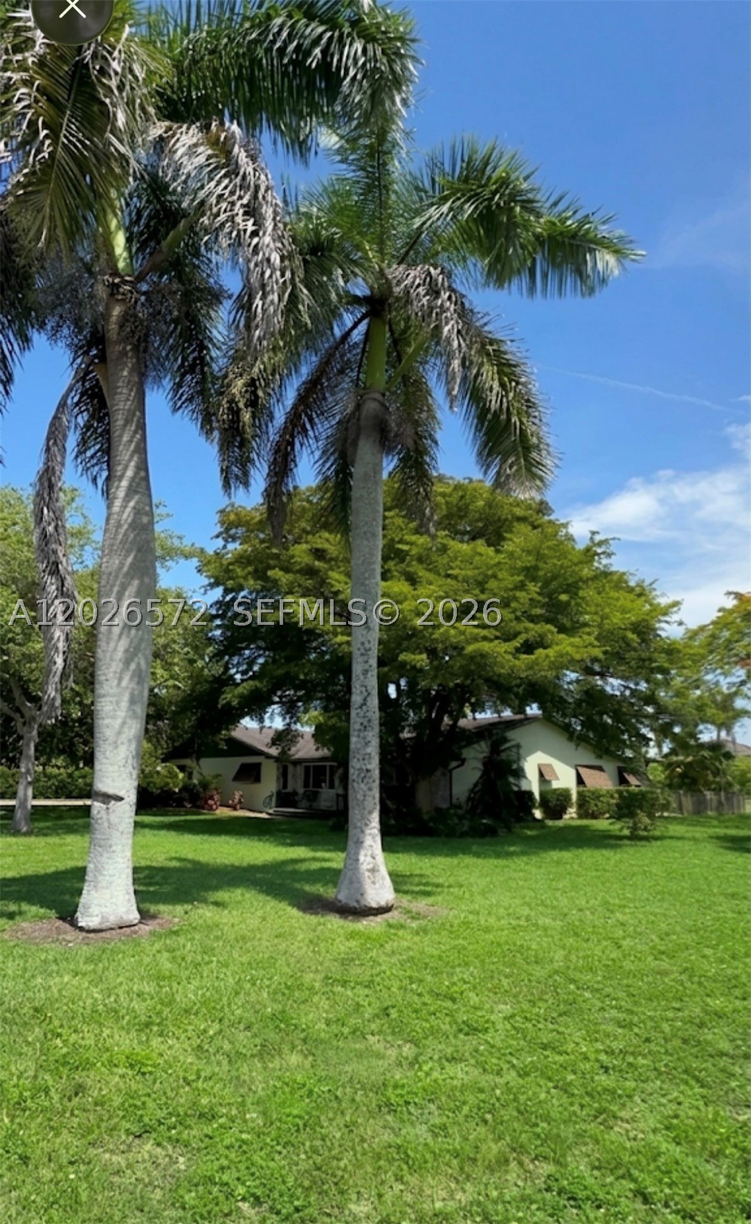 Homestead photo 2