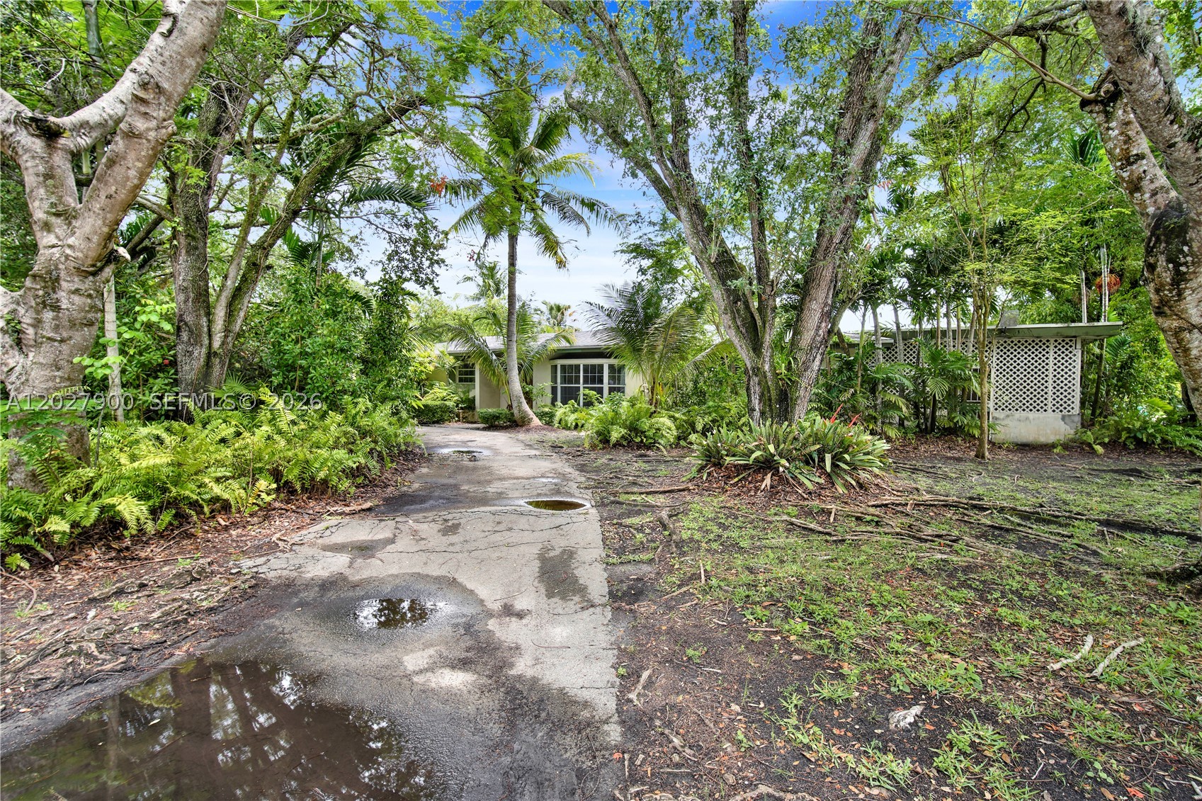 Pinecrest photo 2