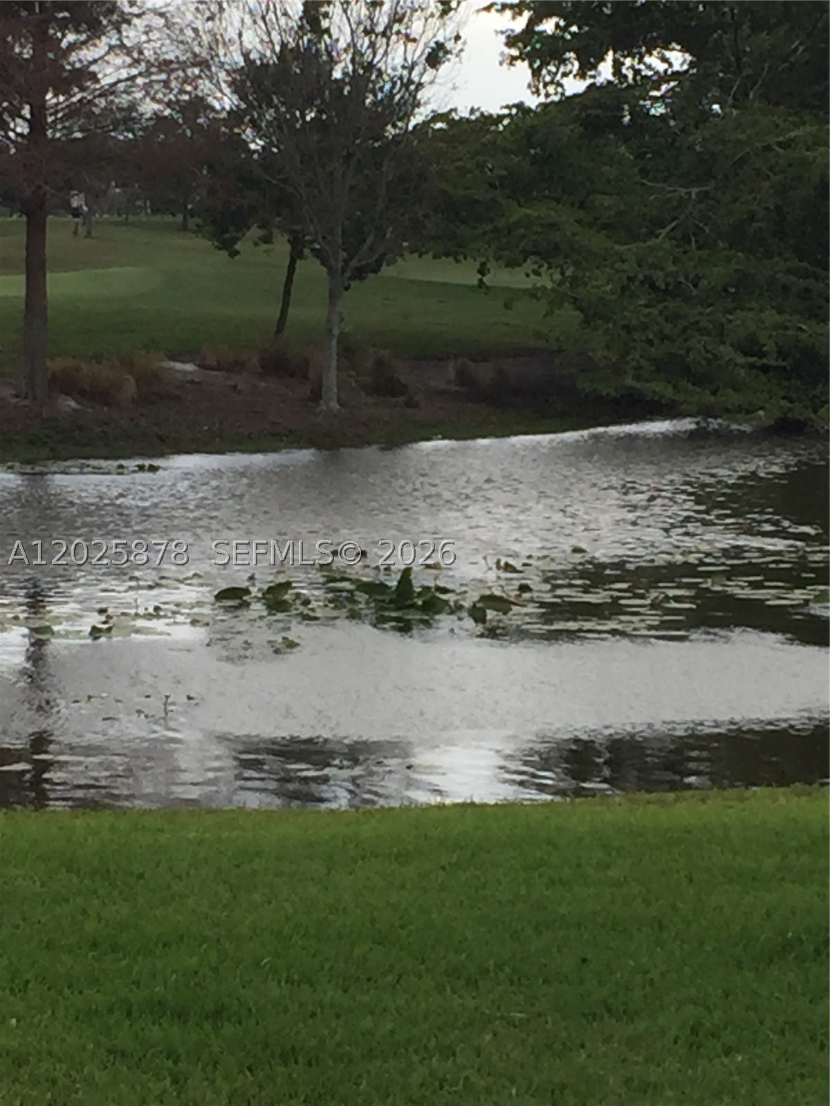 Plantation photo 5