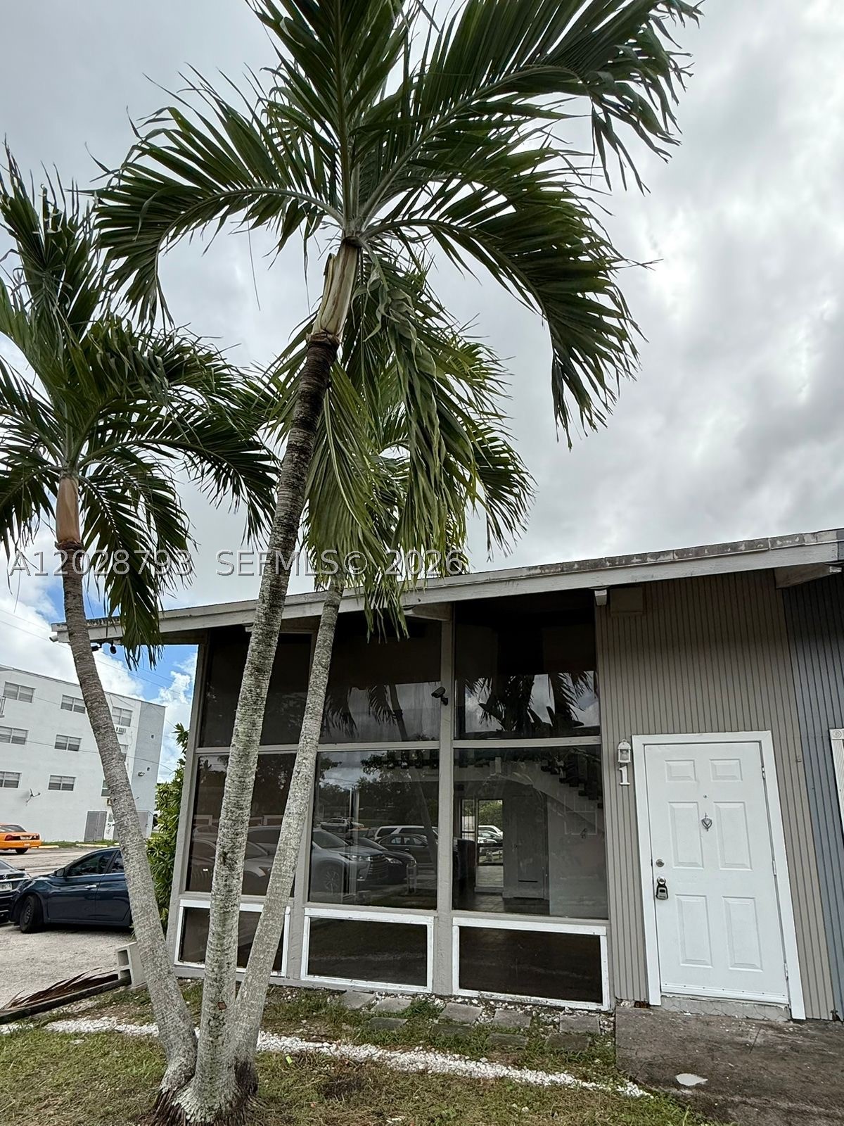 Miami photo 1
