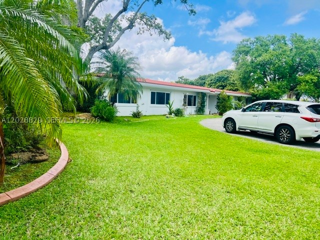 Miami photo 3