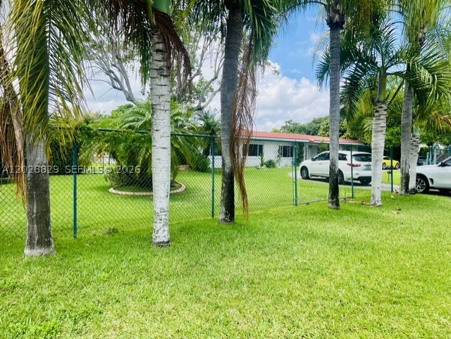 Miami photo 4