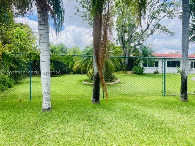 Miami photo 5