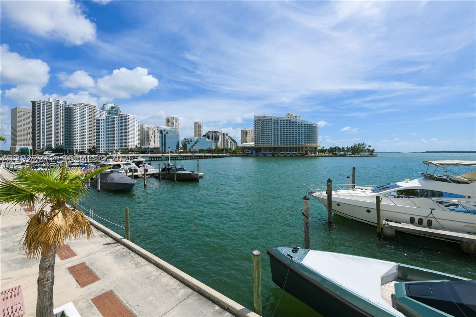 Miami photo 3