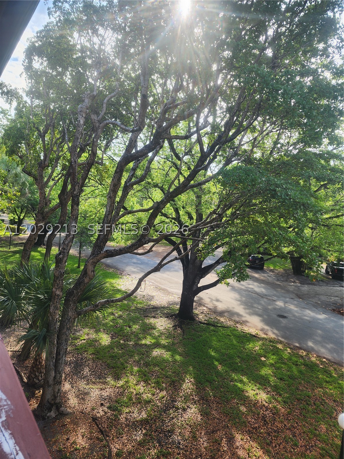 Coral Gables photo 2