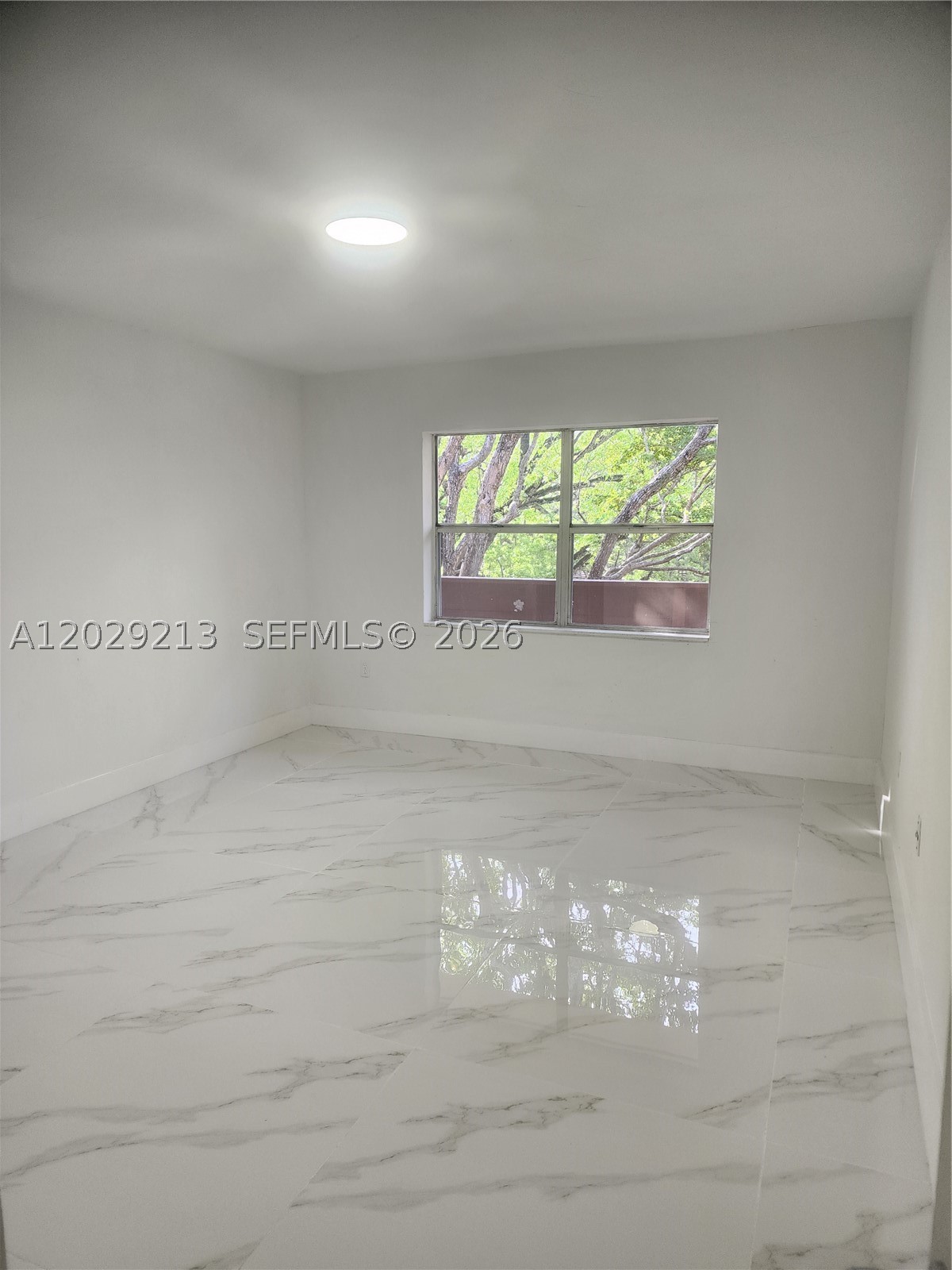 Coral Gables photo 4