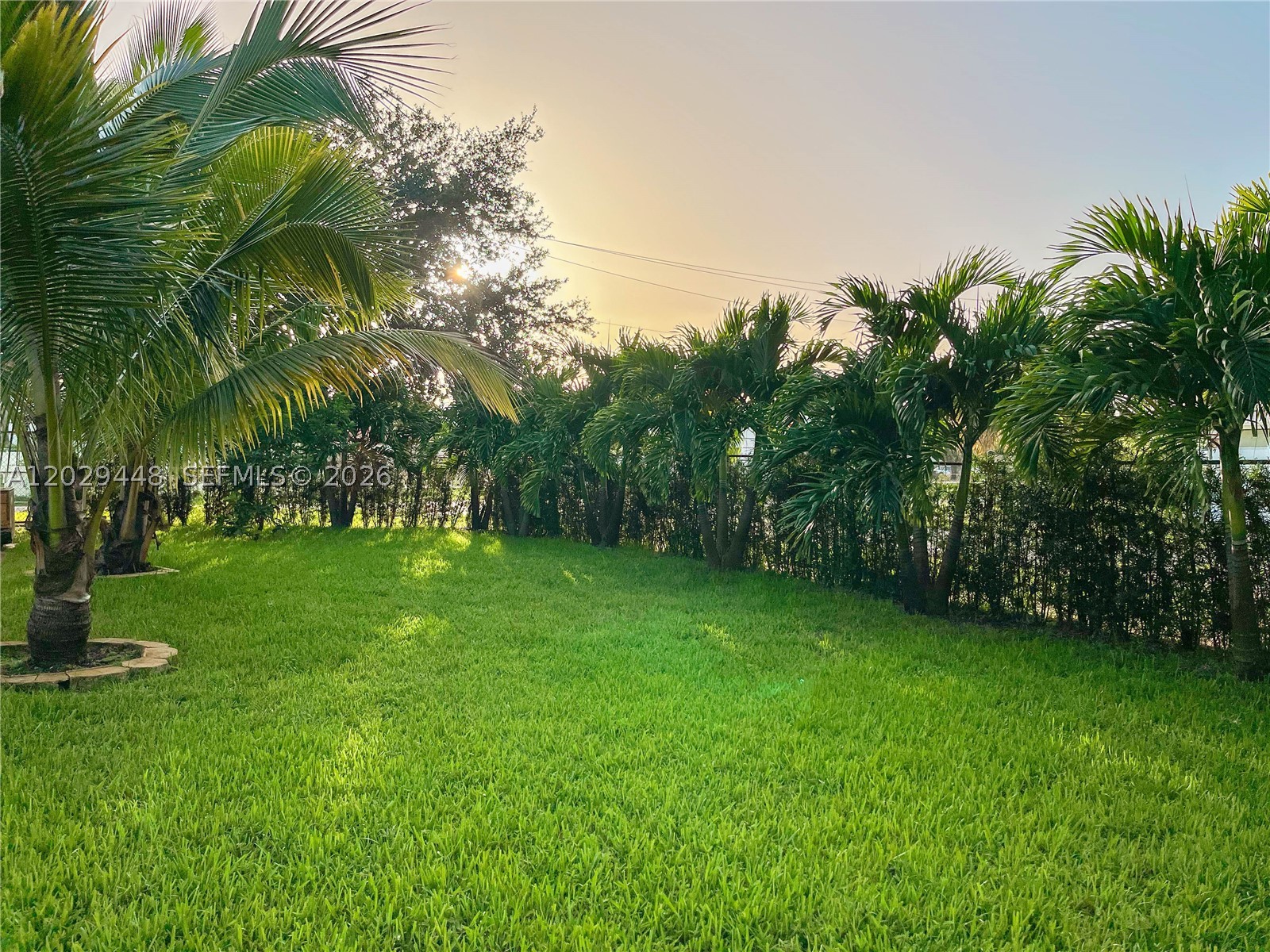 Fort Lauderdale photo 4