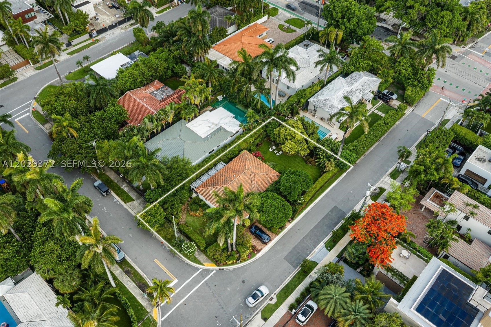 Miami Beach photo 4