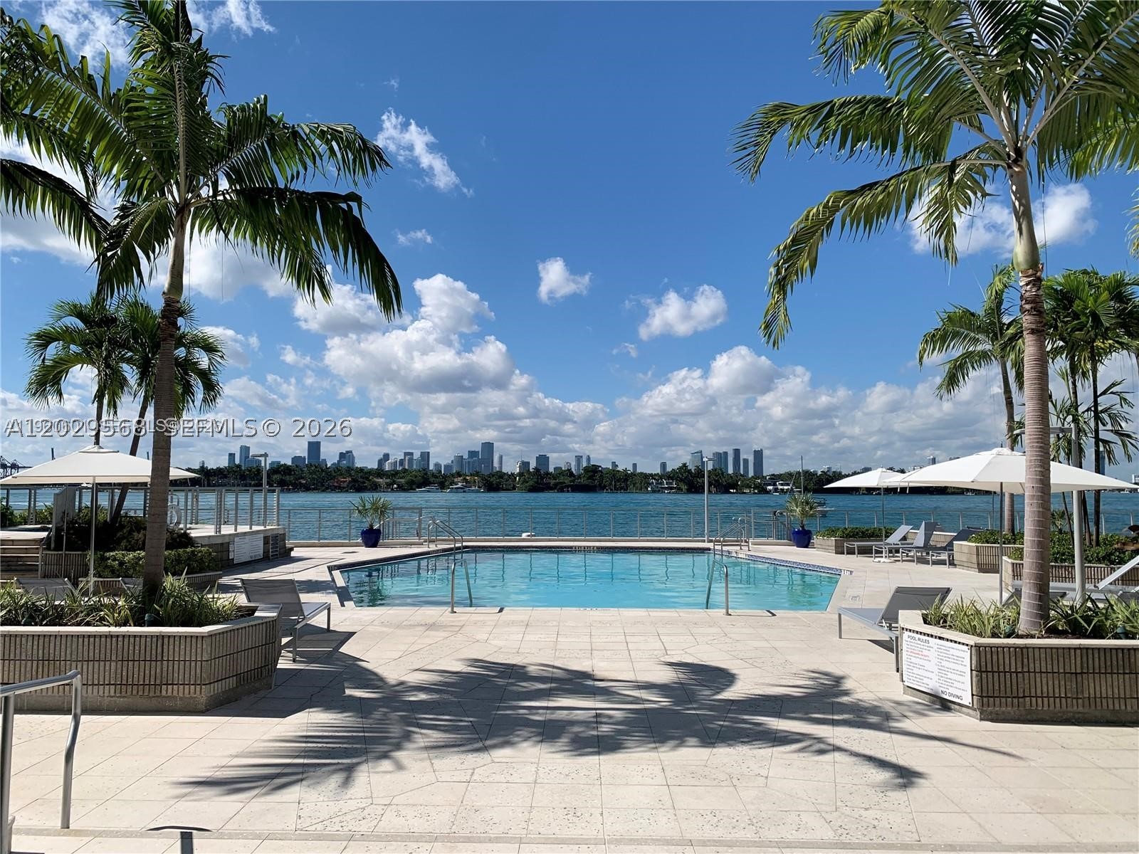 Miami Beach photo 1