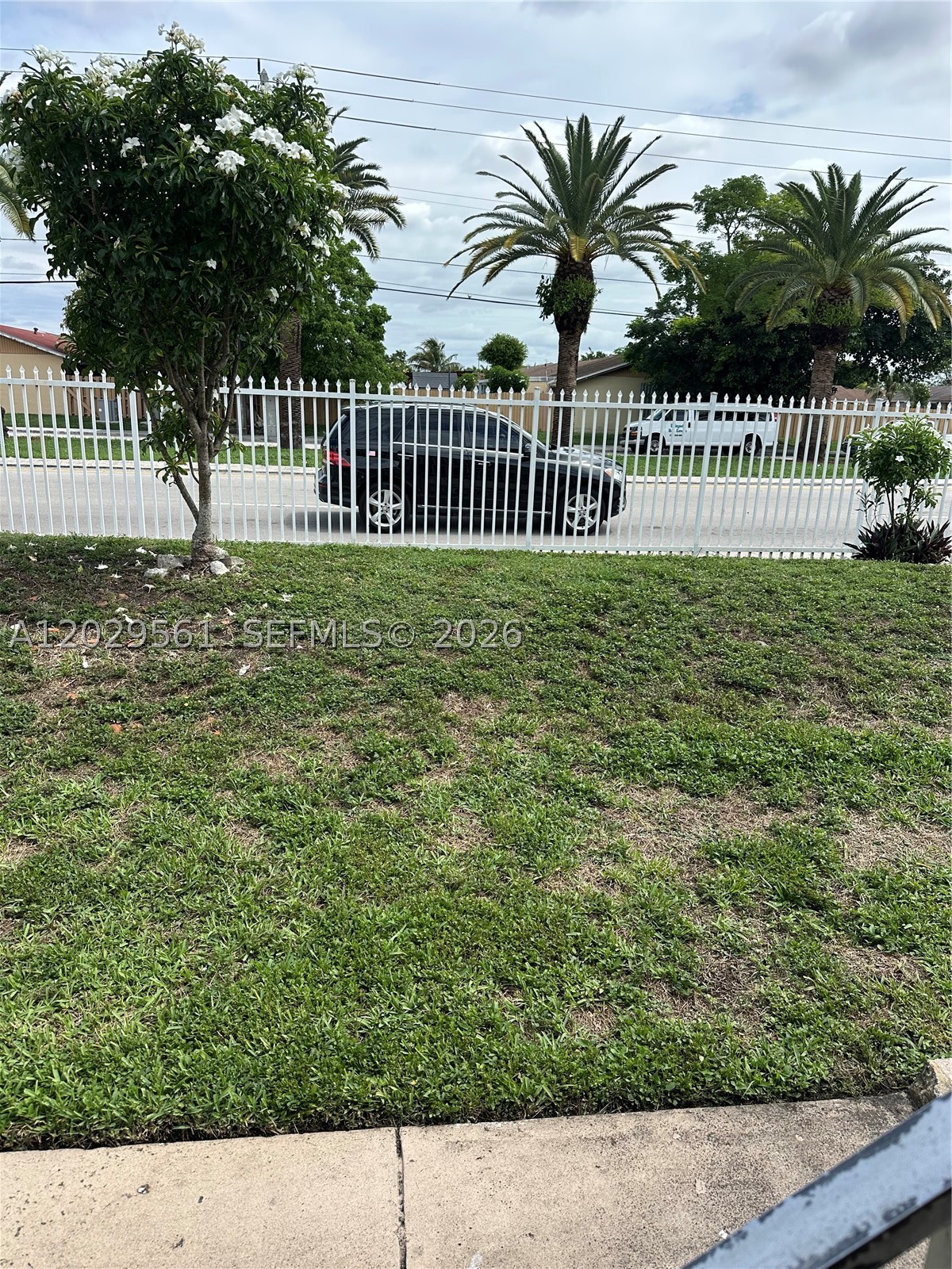 Miami photo 2