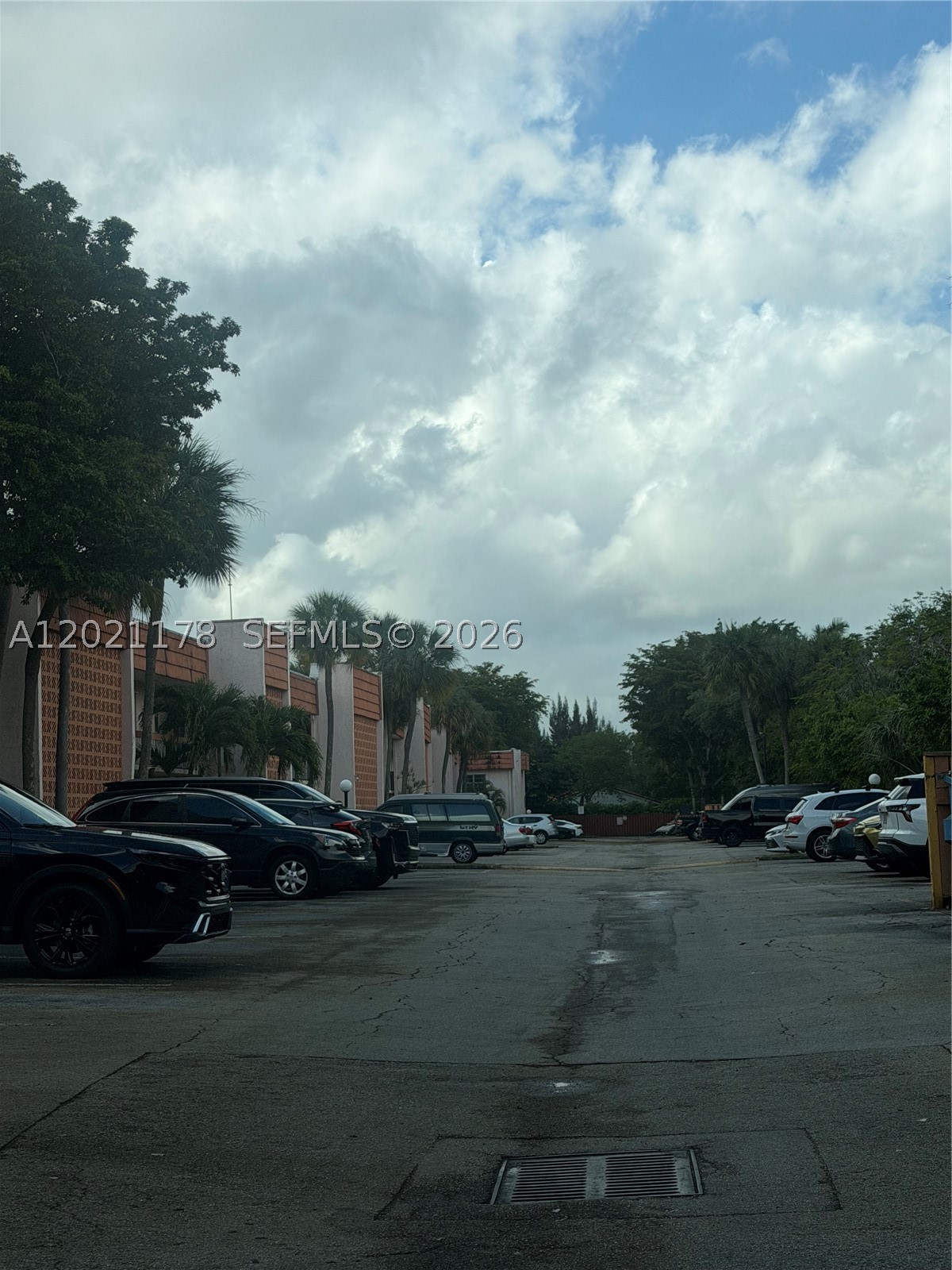 Davie photo 3