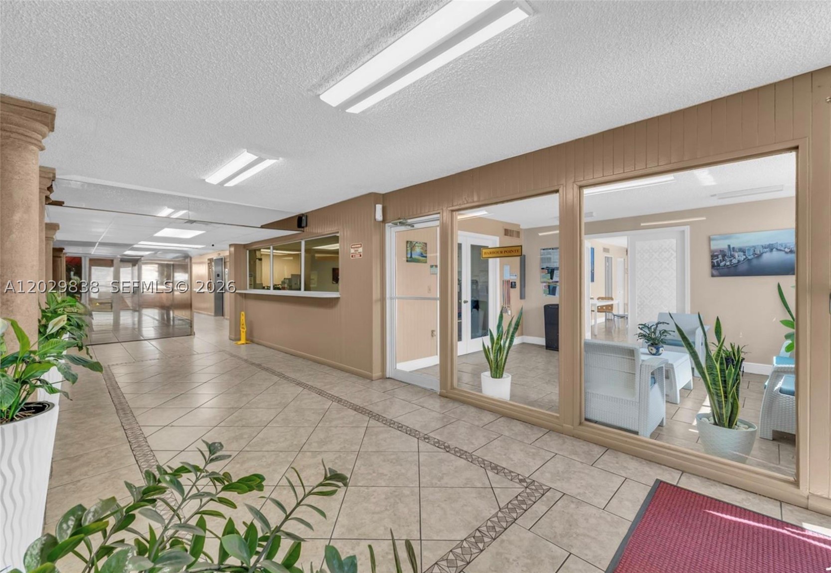 Miami photo 4