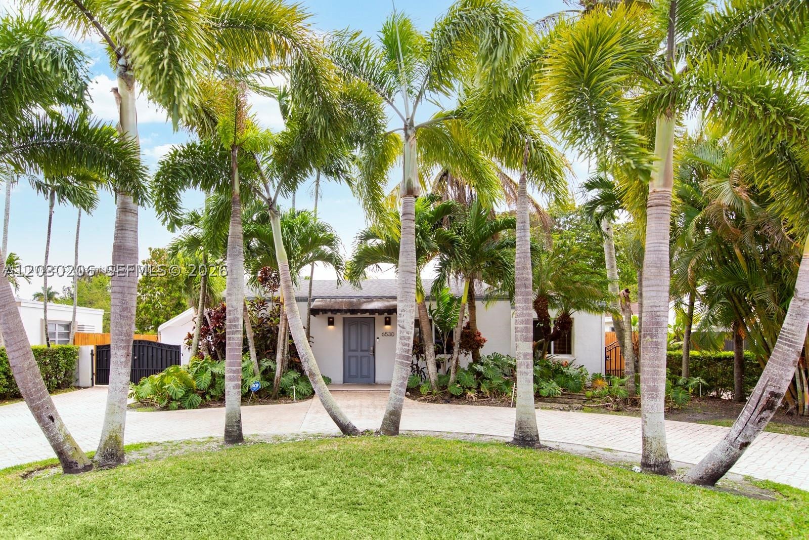 Miami photo 2