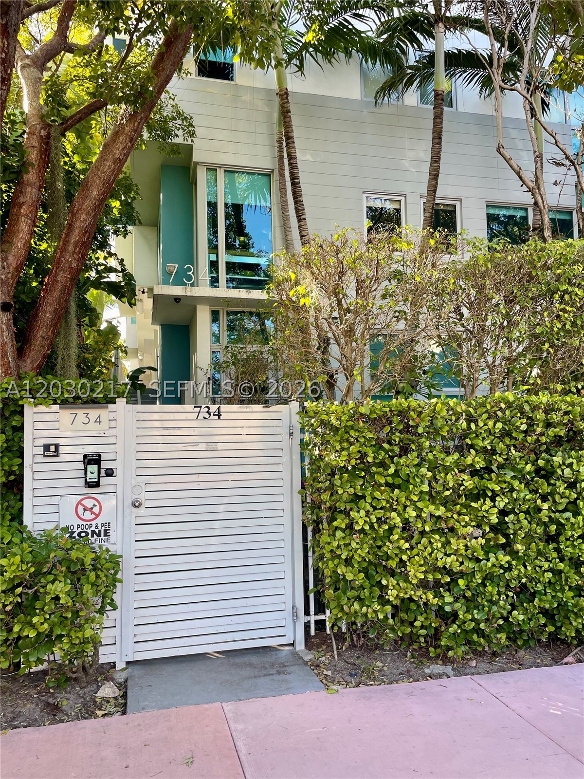 Miami Beach photo 3