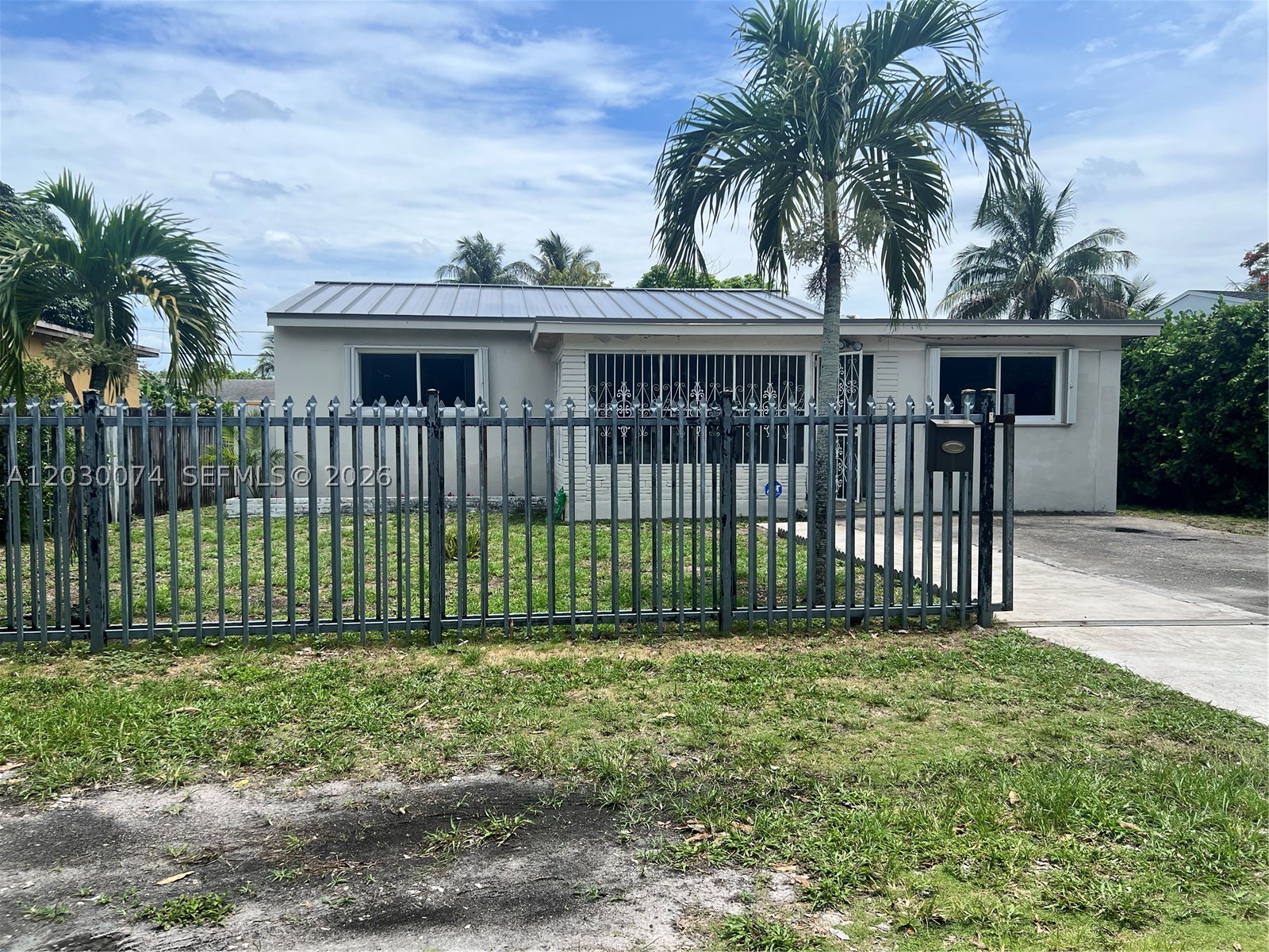 Miami photo 1