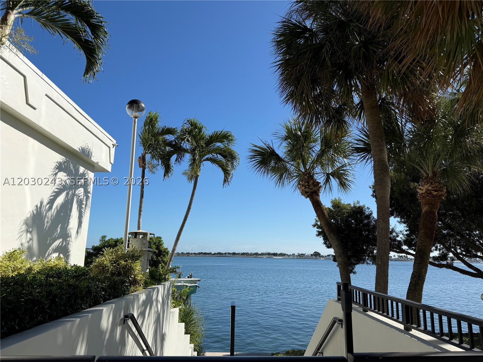 Miami photo 3