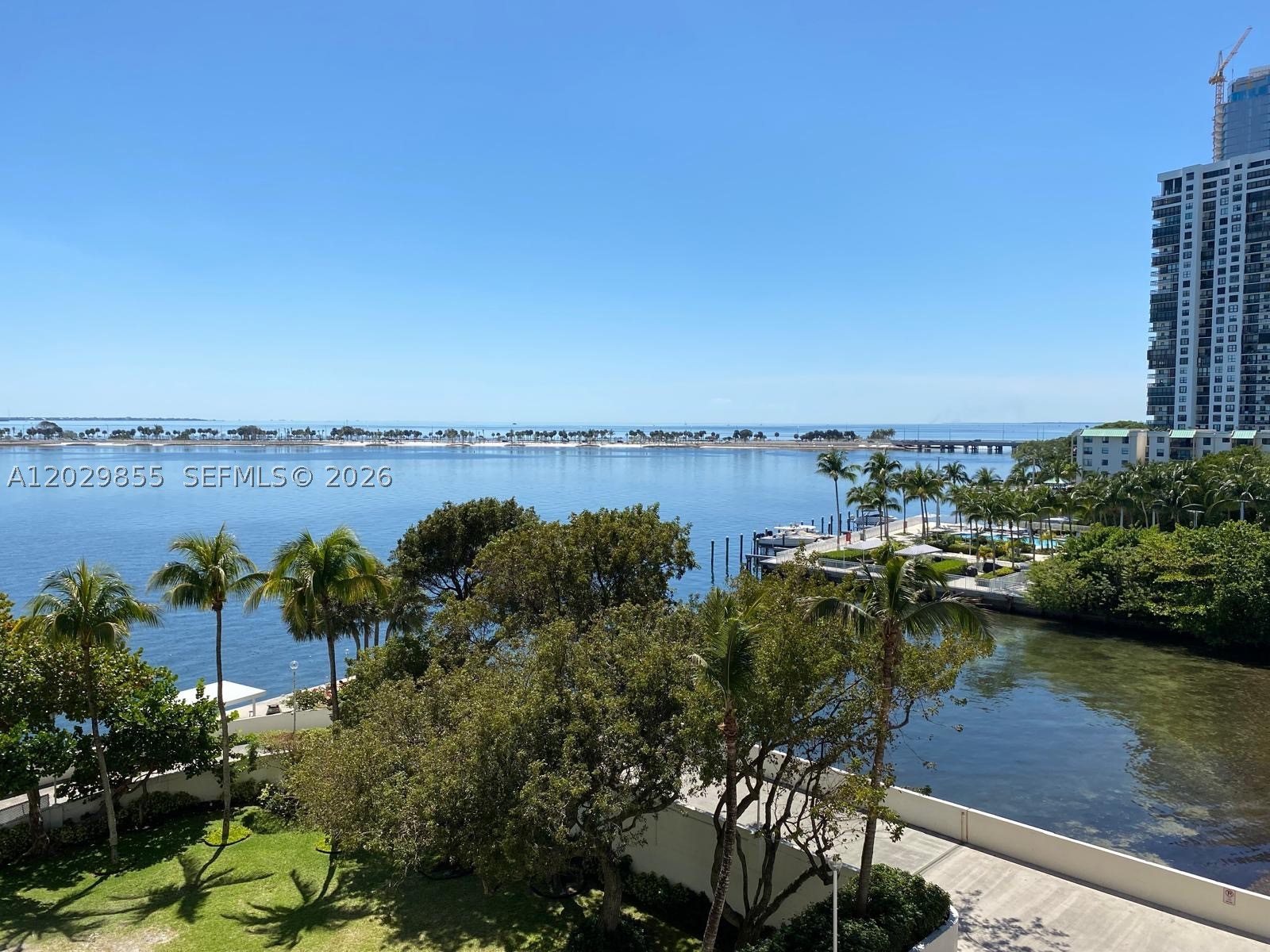 Miami photo 1