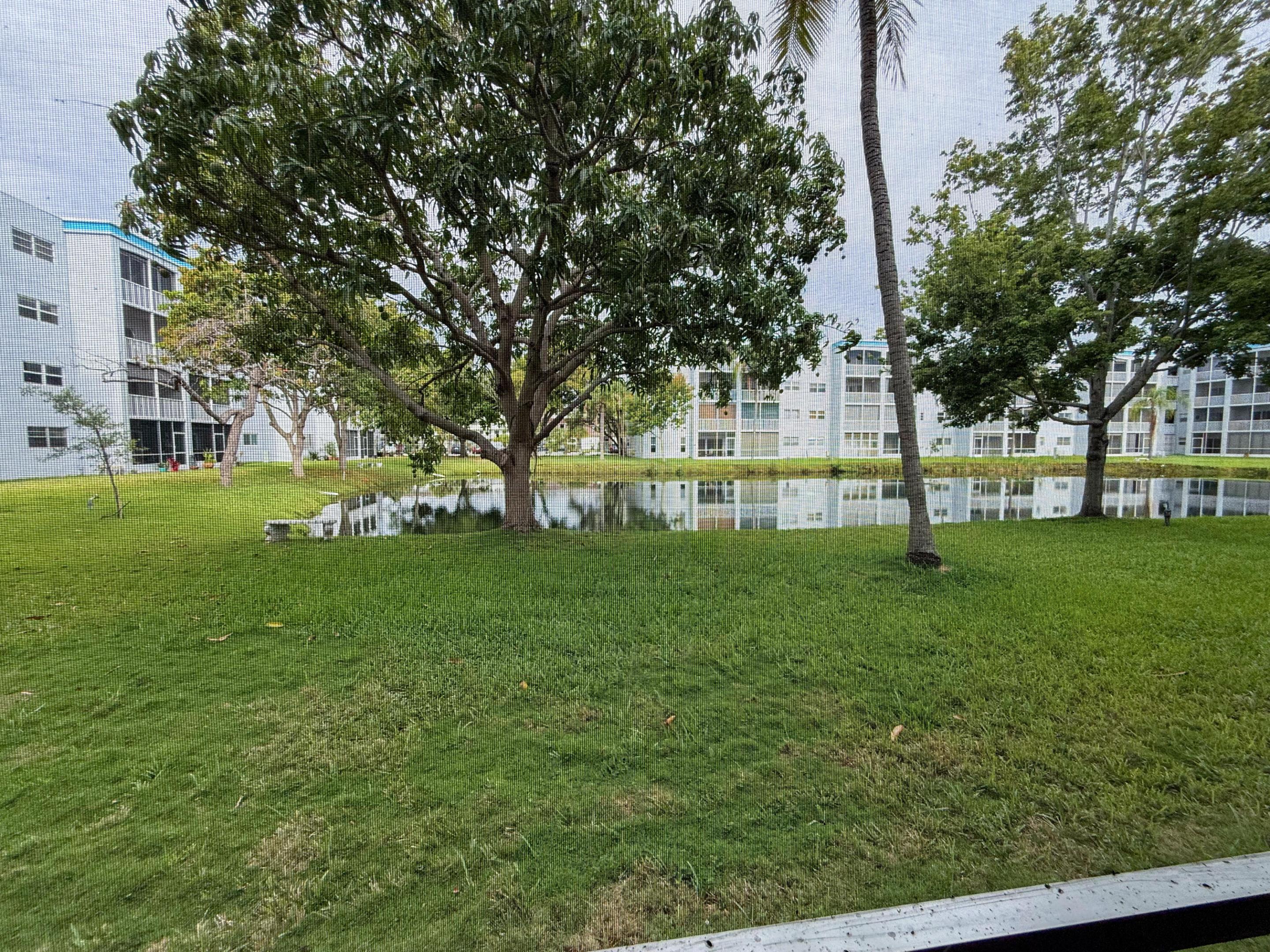 Dania Beach photo 1