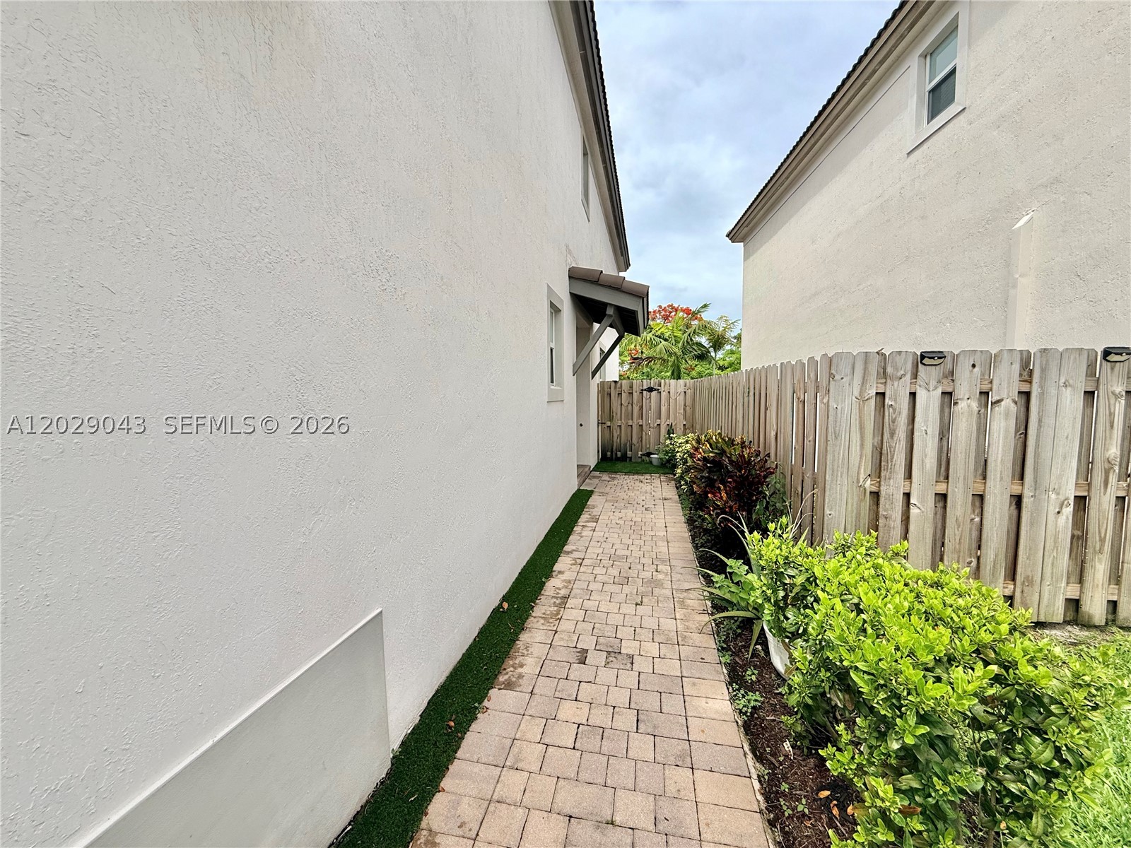 Miami photo 4