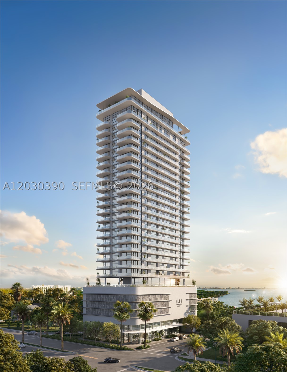 Miami photo 1