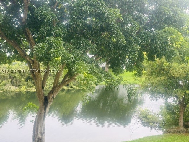 Miami photo 4