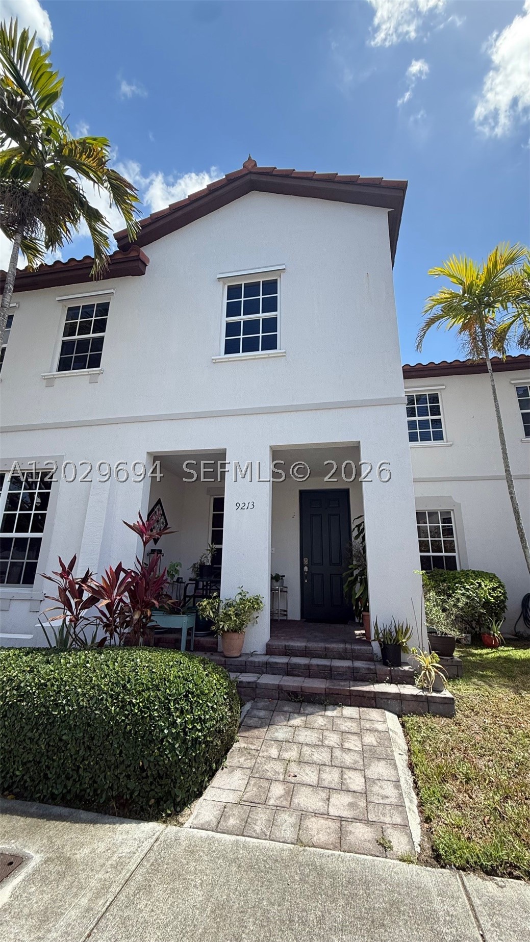 Miami photo 5