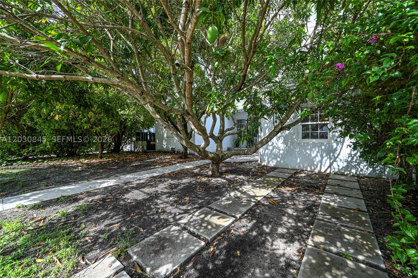 Surfside photo 3