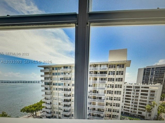 Miami photo 5