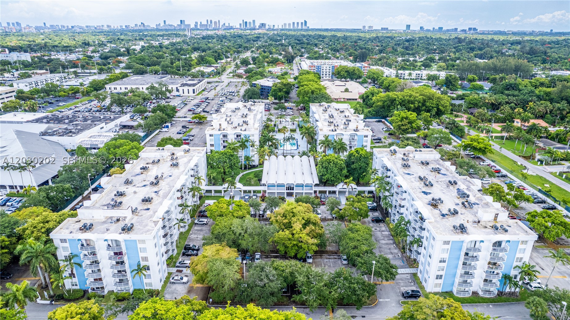 Miami photo 2