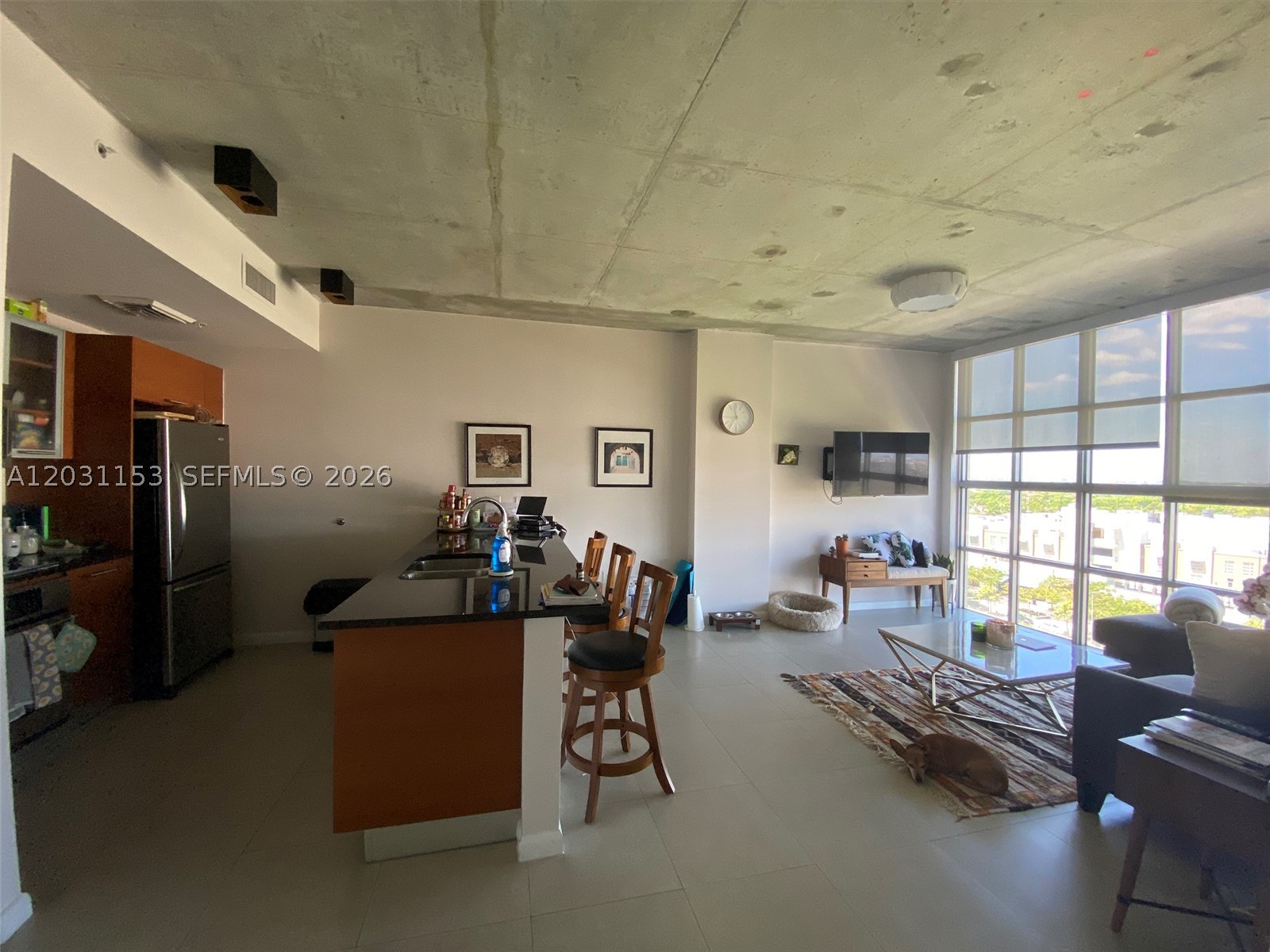 Miami photo 5