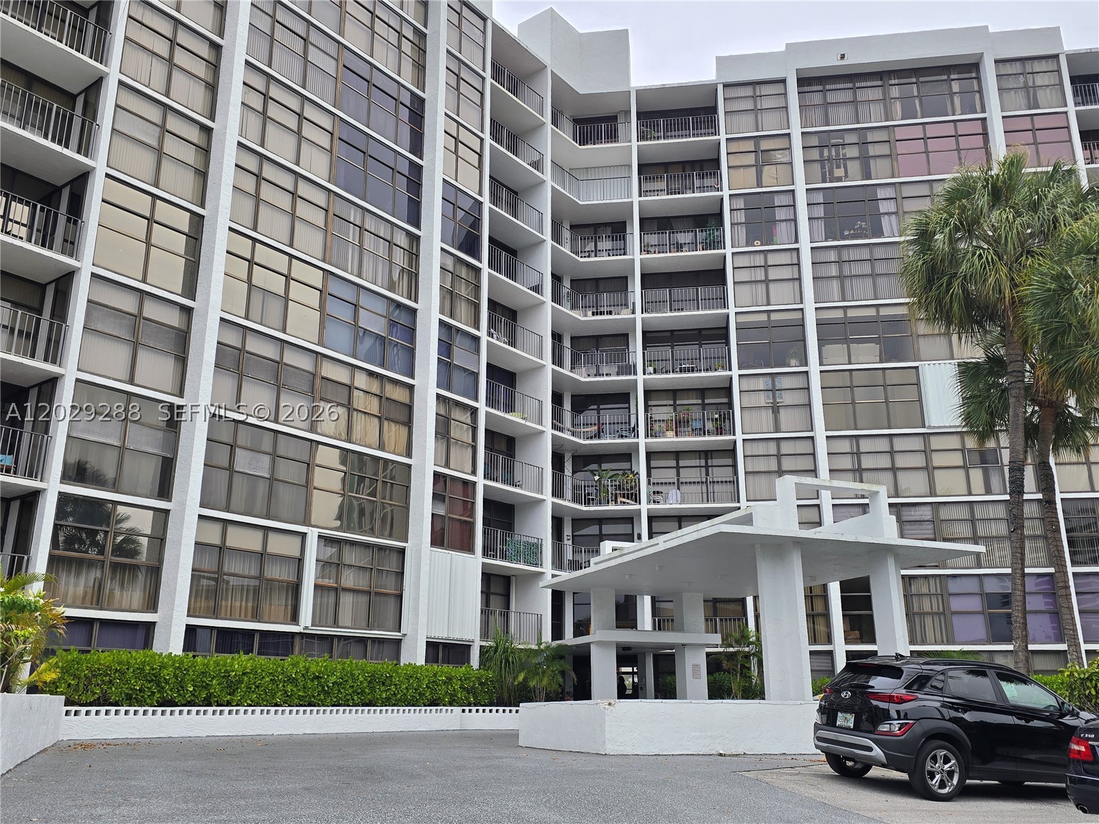 Hallandale Beach photo 3