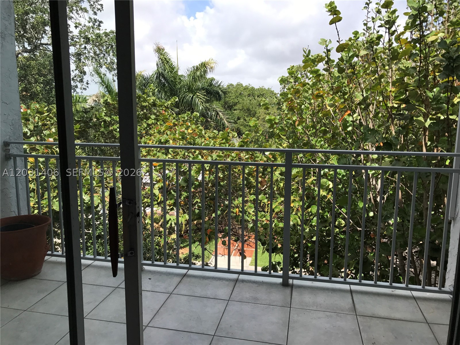 Miami photo 1