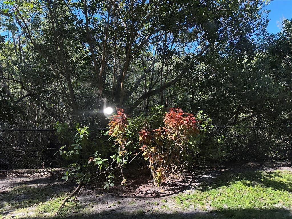 Dania Beach photo 1