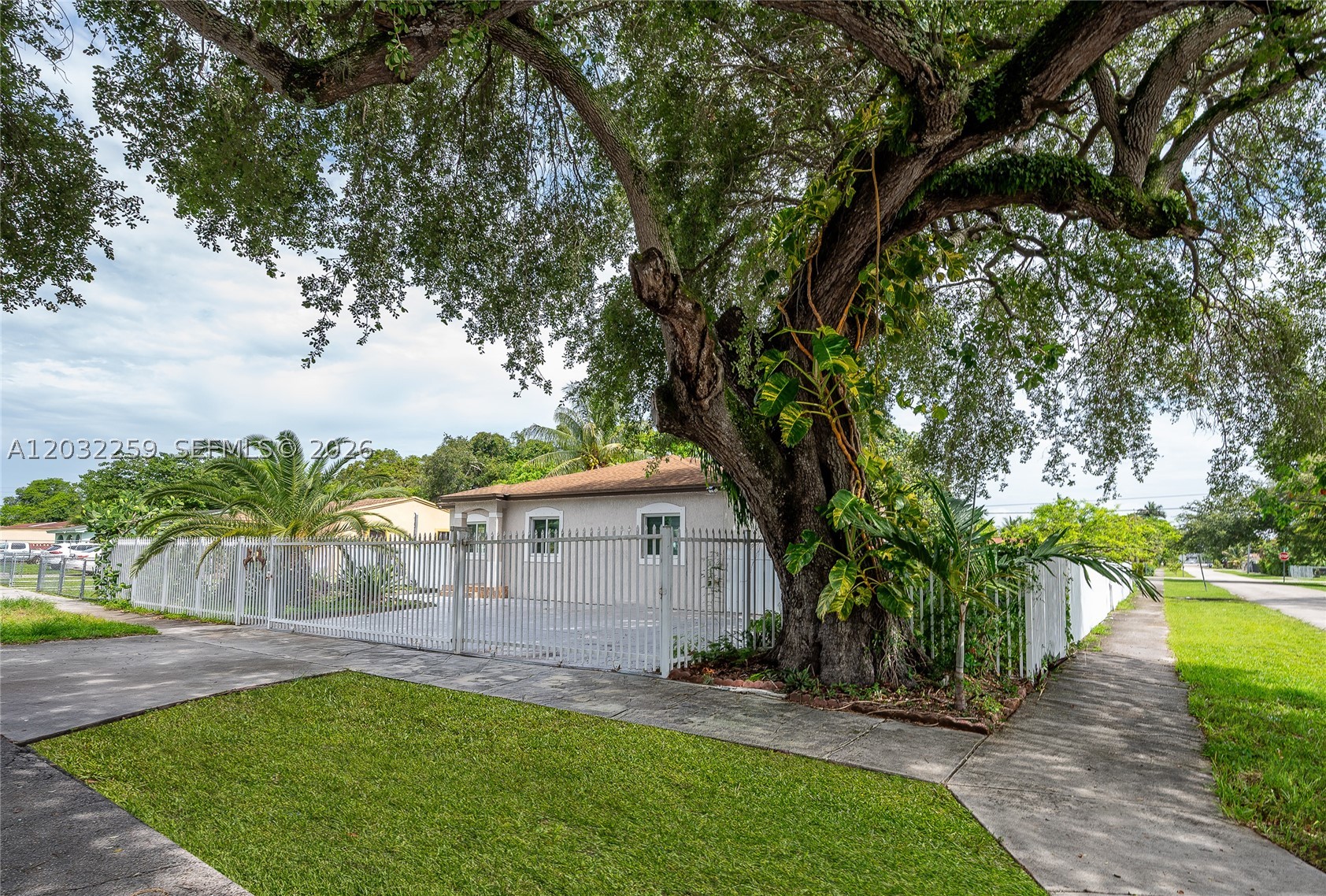 Miami photo 3