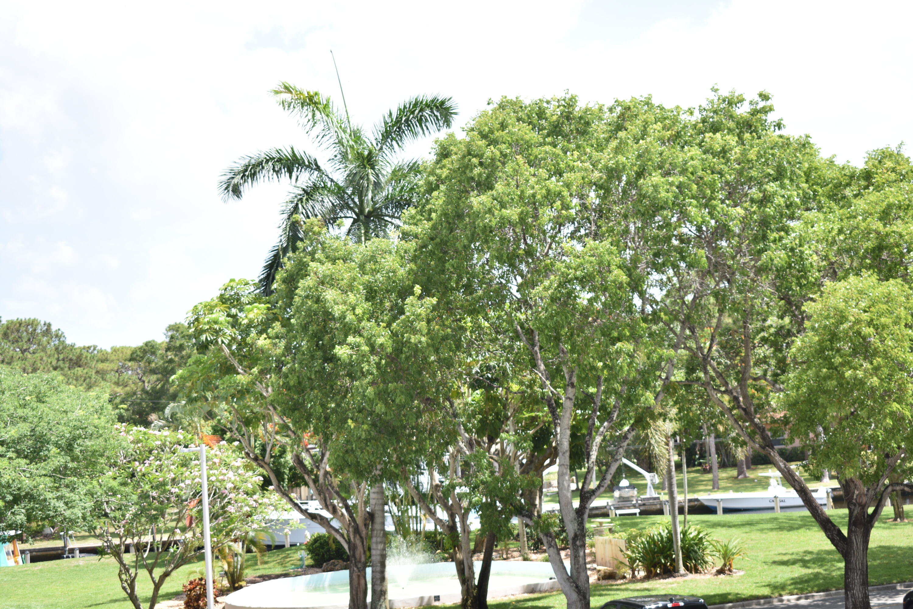 Fort Lauderdale photo 2