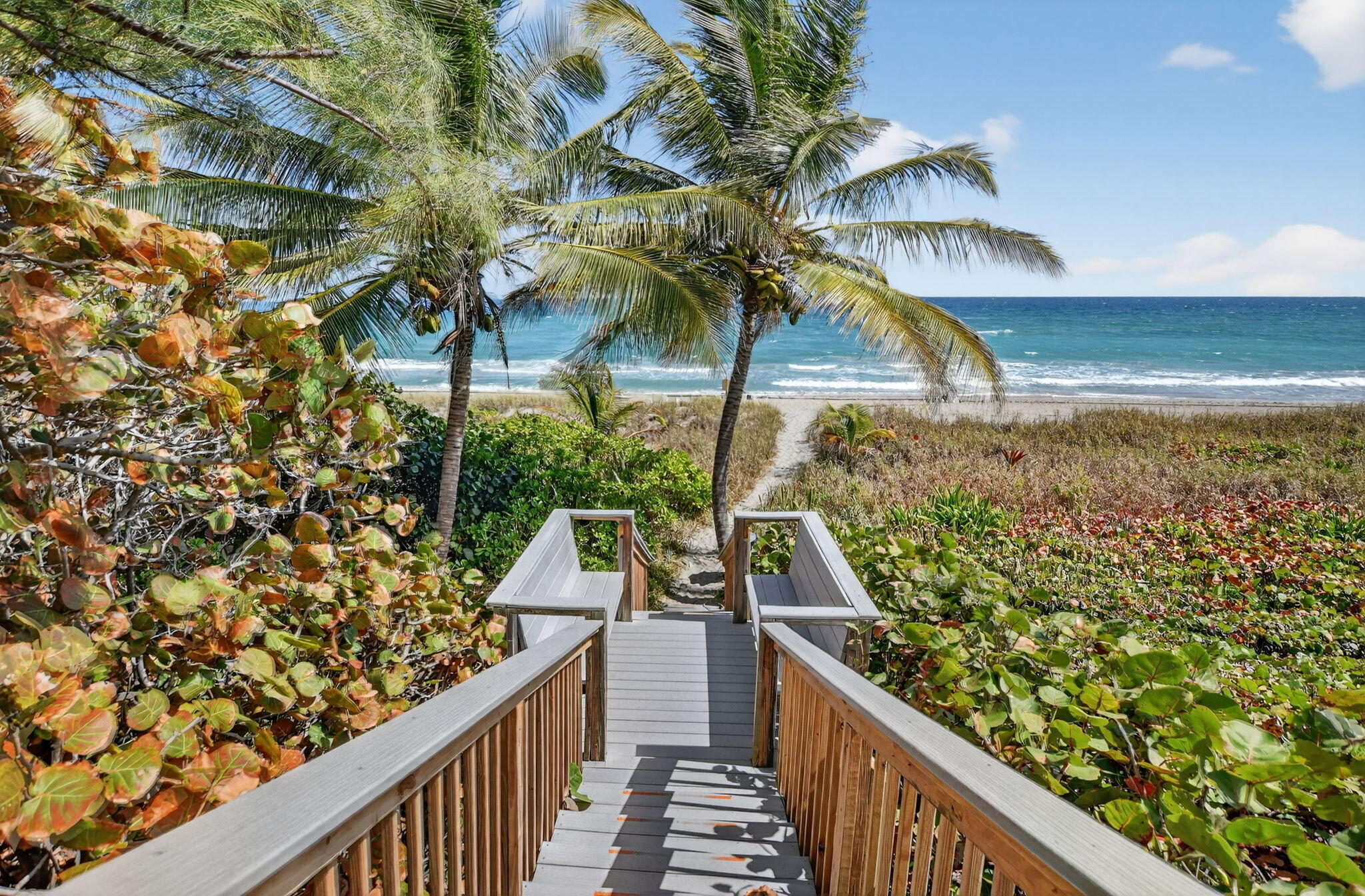 Boca Raton photo 4