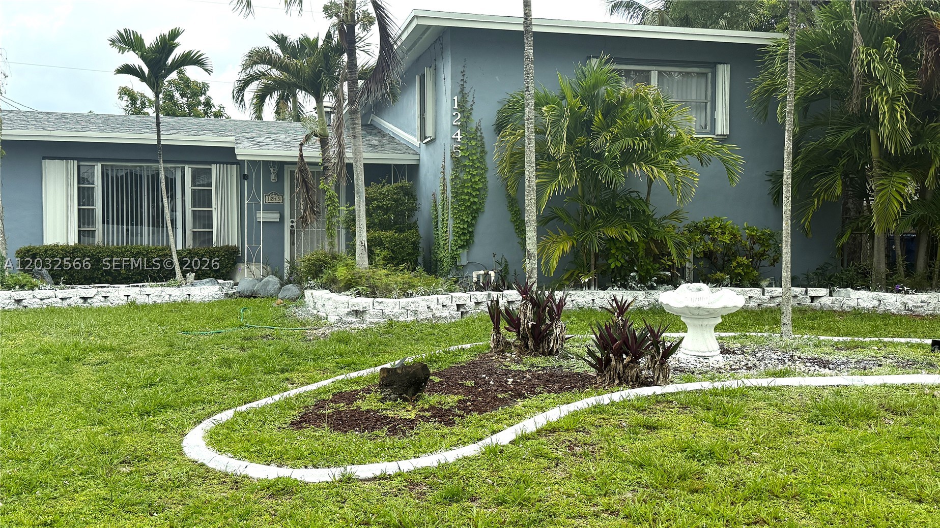 Miami photo 1