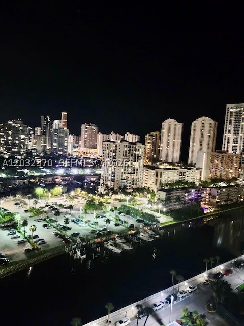 Sunny Isles Beach photo 3