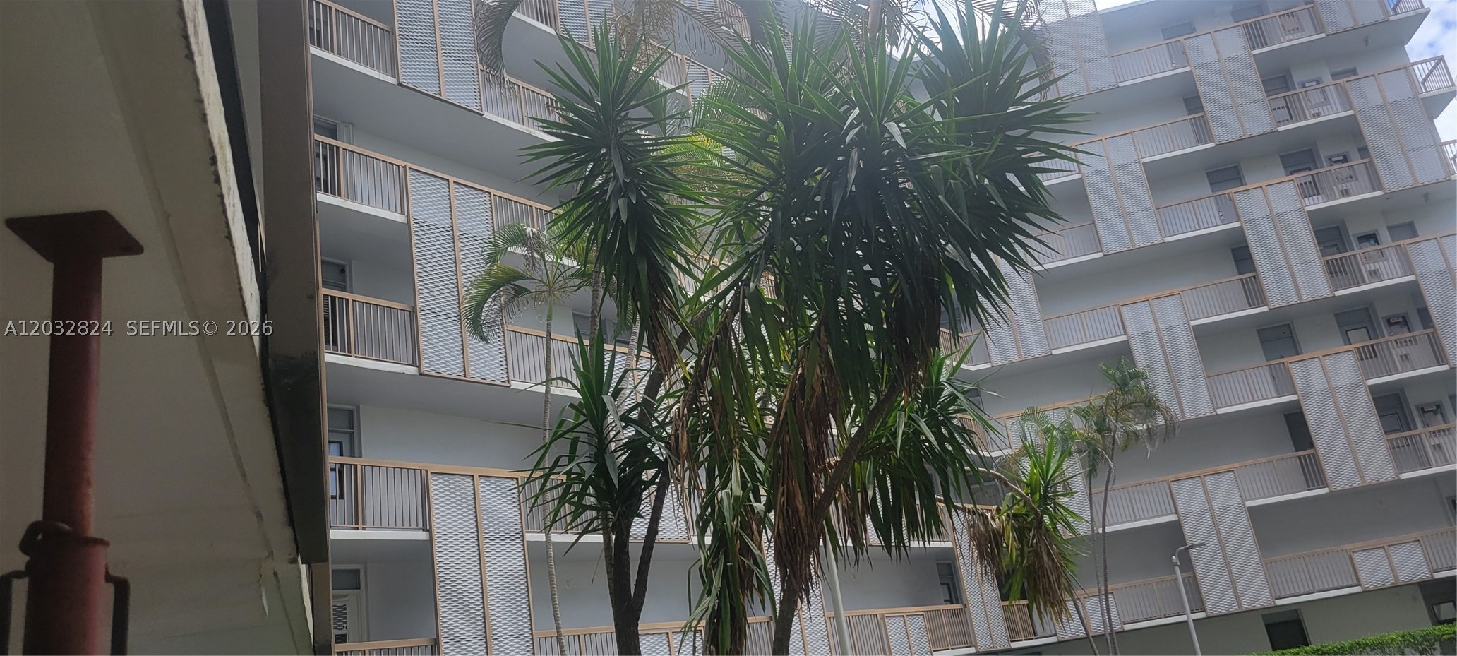 Aventura photo 1