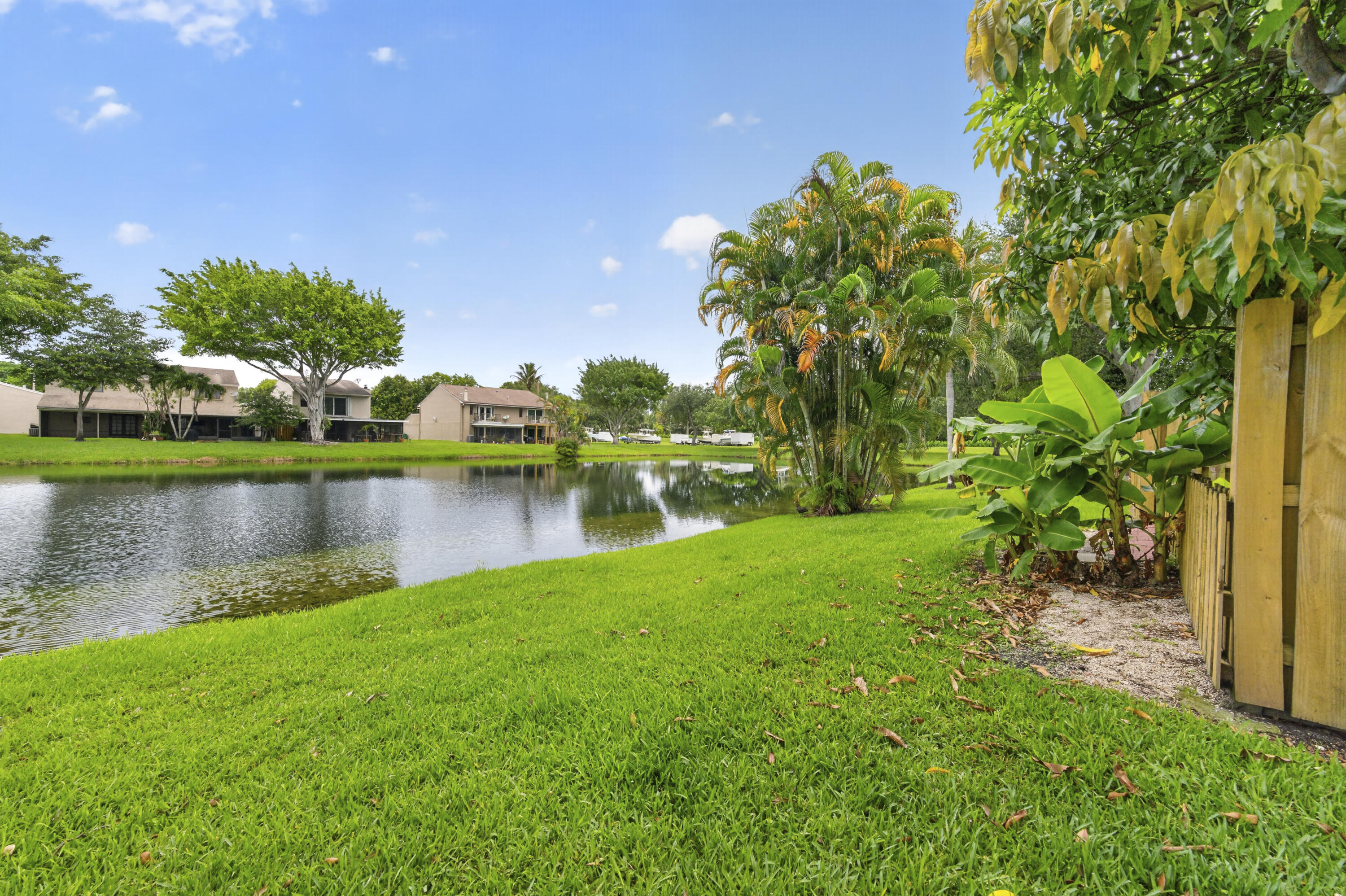 Davie photo 3