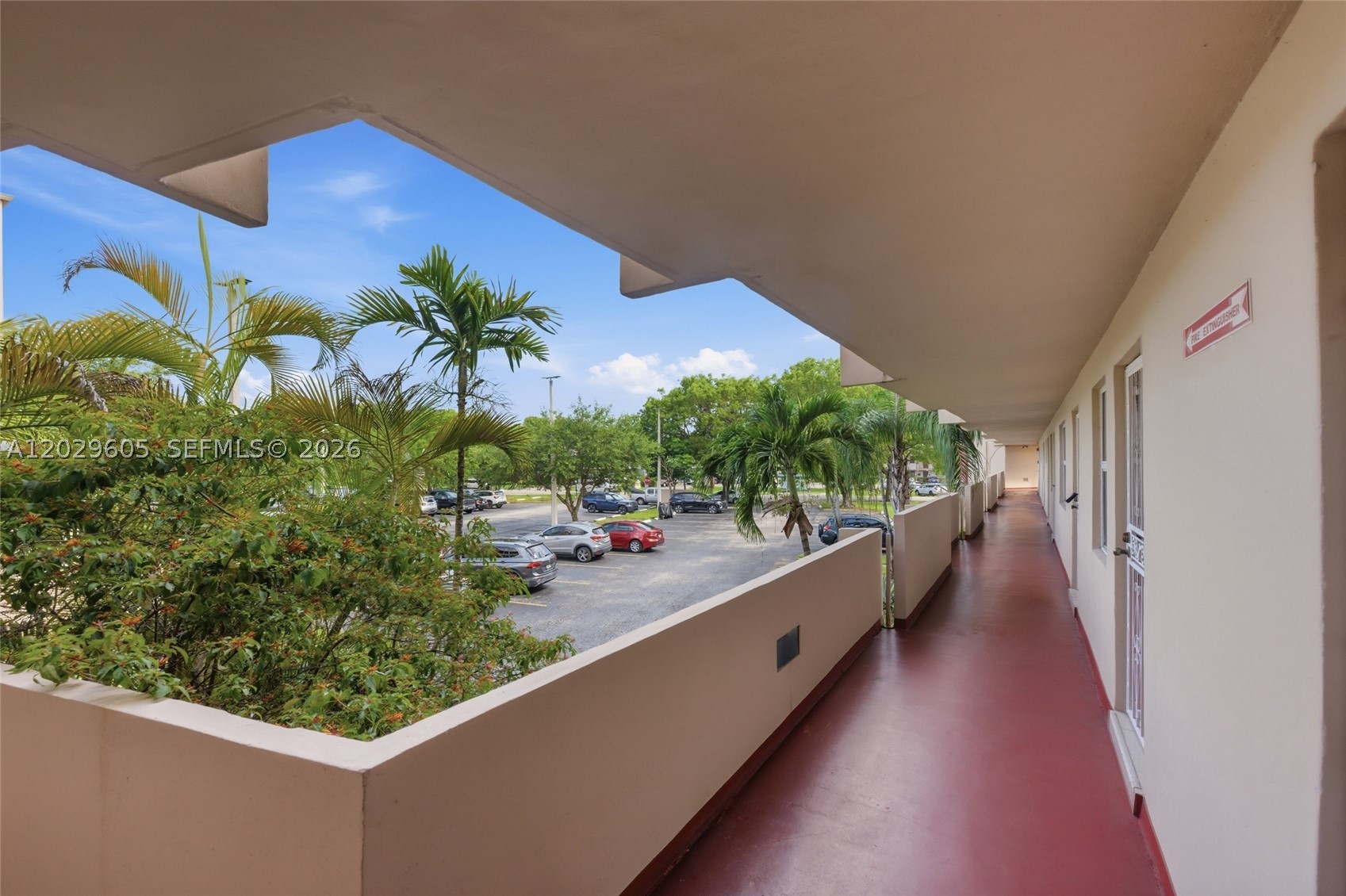 Miami photo 3