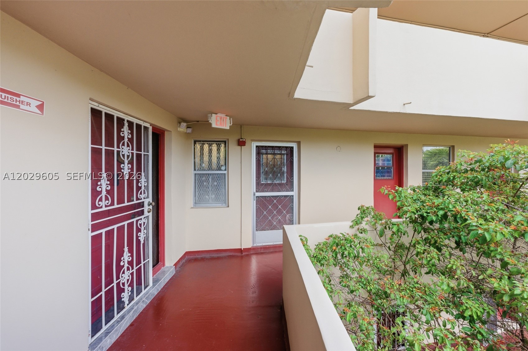 Miami photo 4