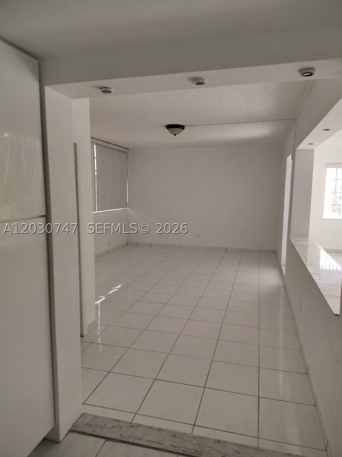 Hallandale Beach photo 5