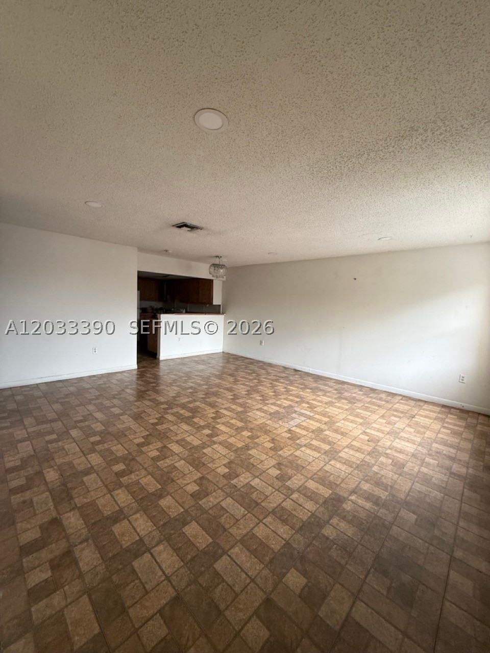 Miami photo 5