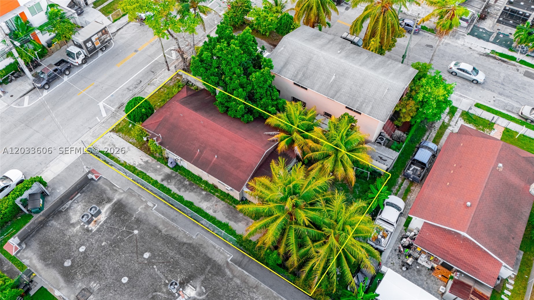 Miami photo 2