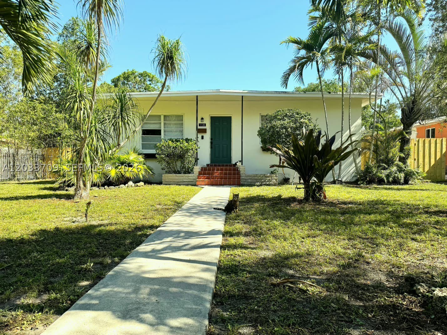 North Miami photo 2