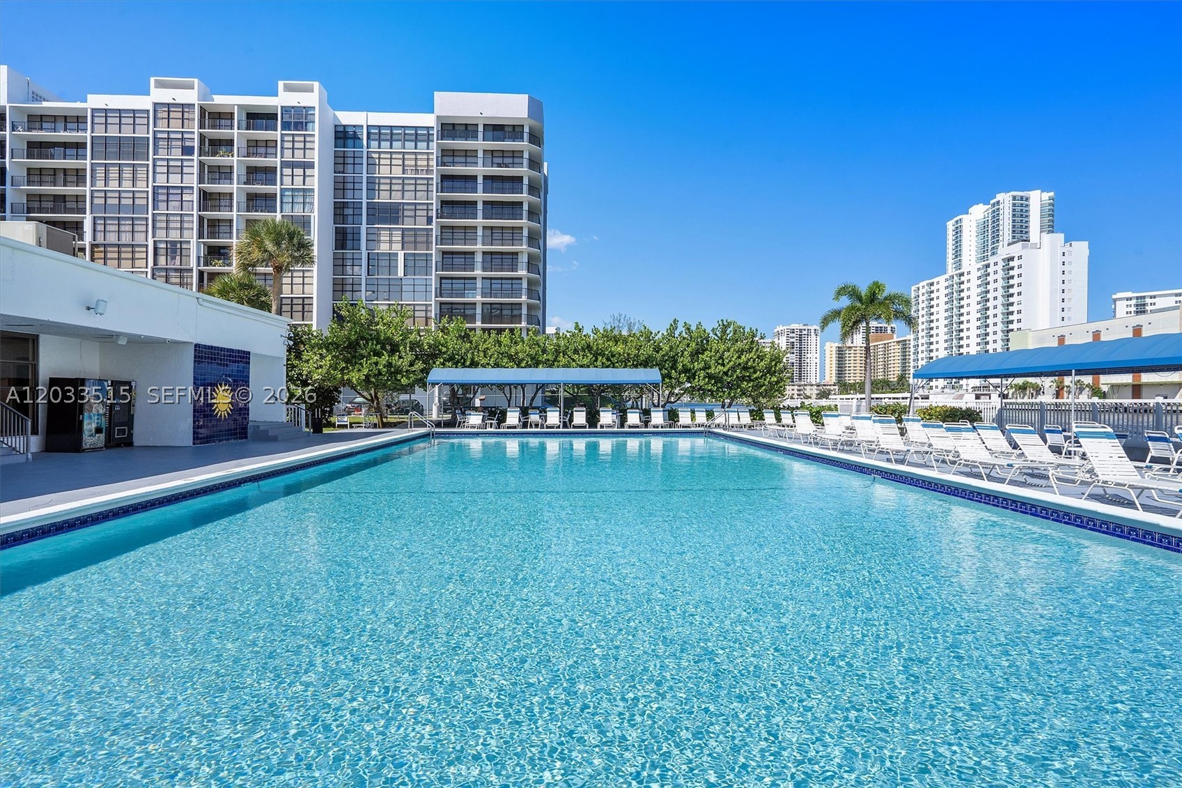Hallandale Beach photo 3