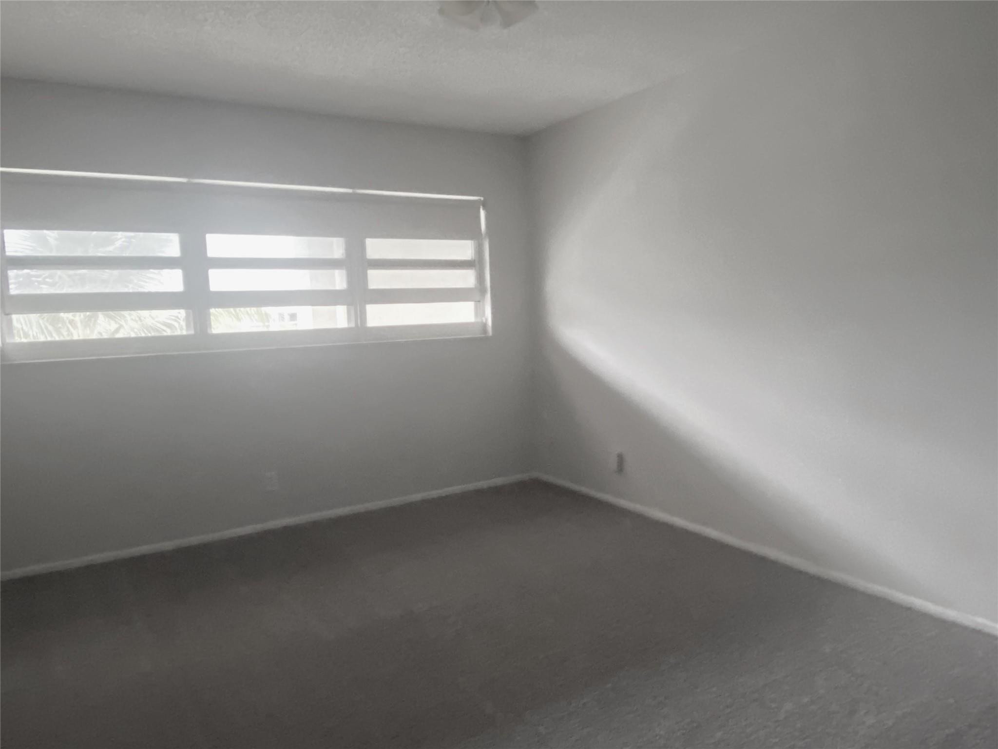 Pompano Beach photo 5